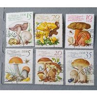 ФРГ грибы 6шт