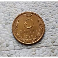 5 копеек 1988 года СССР. Очень красивая монета! Красивая жёлто-золотистая патина!
