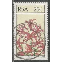ЮАР. Цветы. Нерине. 1985г. Mi#675.