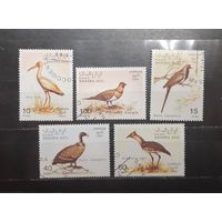 Сахара. 1991 год. Фауна. Птицы (1201)