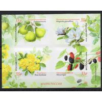 Россия 2025. Флора России. Растения Крымского полуострова (2877)