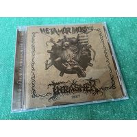 Thrasher - Metamorphosis