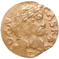 Солид 1663 олива распродажа коллекции (2)