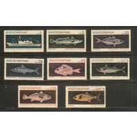 Болгария-1969(Мих.1947-1954) , **    , Морская фауна,Рыбы, Флот (полная серия)
