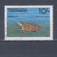 [651] Танзания 1986. Фауна.Черепаха. Гашеная марка. Кат.гаш.2,8 е