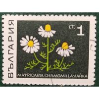Болгария 1969 лекарственные растения, 1 из 8, клей.