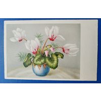 Открытка старинная. Цветы.