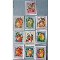 Венгрия фрукты 10шт