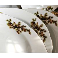 Japan. Япония.Тарелки. 7 штук. Костяной Фарфор. Кедровая ветка. Шишки. Диаметр 23 см