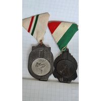 Лот две спорт медаль плавание волейбол баскетбол 1970 года