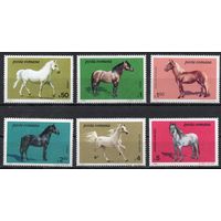 Румыния 1984. Фауна лошади 6 марок 4077