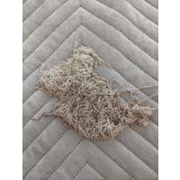 Цепь (цепочка) серебристая, цена за всю