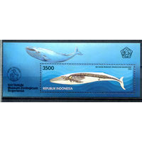 Индонезия - 1994г. - киты, 100 лет зоологическому музею - 1 блок - полная серия, MNH с незначительным дефектом клея [Mi bl. 97]. #4-W1-Z-2-11