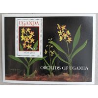 Цветы. Орхидеи.