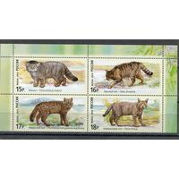 Россия 2014. Дикие кошки. Верхний квартблок листа