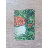 Календарик 1991