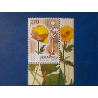 Беларусь 2003 флора