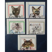 КНДР 1983 Котики.