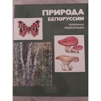 Природа Белоруссии.