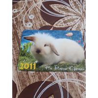 Календарик,кролик,2011
