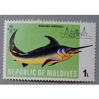 Рыба. Мальдивы