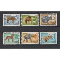 Фауна Венгрия 1981 Животный мир Африки Used