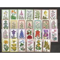 ФФ1 ФРГ Берлин 1975-79 Цветы