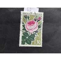 Франция  1962   м