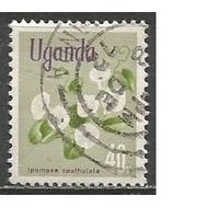 Уганда. Цветы. Ипомея. 1969г. Mi#110.