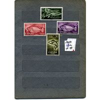 ИСПАНИЯ (САХАРА), 1963,  РЫБЫ,  4м, **чистая
