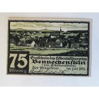 Германия, нотгельды, 75 пфеннигов 1921 год, частный выпуск для оплаты проезда из высокогорного санатория Беннекенштайн