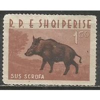 Албания. Вепрь. 1962г. Mi#701.