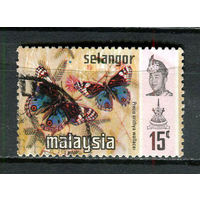 Малайские штаты - Селангор - 1971/1977 - Бабочки 15С - [Mi.110I] - 1 марка. Гашеная.  (Лот 53Gw)-T4P14