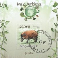 Мозамбик ,,Фауна,, 2010г