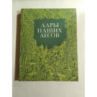 Дары наших лесов