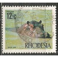 Родезия. Бегемот. 1970г. Mi#95.
