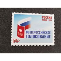 Россия  2020   общеросийское  голосование
