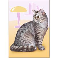 Кот. Из серии "Домашние питомцы" Открытка, глянец