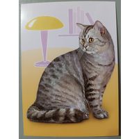 Кот. Из серии "Домашние питомцы" Открытка, глянец