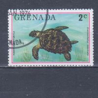 [1638] Гренада 1976. Фауна.Черепаха. Гашеная марка.