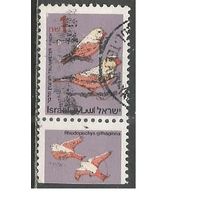 Израиль. Птицы. Пустынный снегирь. 1995г. Mi#1333.