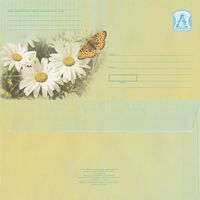 Беларусь 2007 Ромашки. Бабочка (к4)