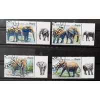 АНГОЛА 2018 ФАУНА ЖИВОТНЫЕ СЕРИЯ СТО