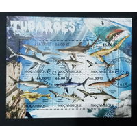 ЛИСТ ФАУНА рыбы морские обитатели  СТО