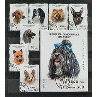 Мадагаскар 1991г. Серия: блок и 7 марок. Собаки.гаш.