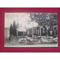 Крым. Ялта. Городской сад. Царская открытка. Чистая.