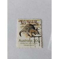 Австралия 1991