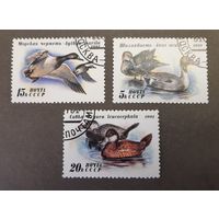 СССР. 1991 год. Фауна. Утки. 3 марки