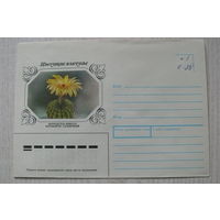 1983, 1990, ХНМК, Горинов К., Нотокактус солнечный, из серии "Цветущие кактусы".