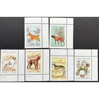 Таджикистан 2006  . Фауна. Собаки